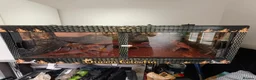 Toad reptiles for sale: Giant Suriname Marine Toad with Set Up - Advert 12