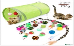 Mixed Breed cats for sale: Cute kittens for sale with goodie bag - Image 13