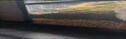Gecko reptiles for sale: 45x45x60 custom terrarium  - Advert 4