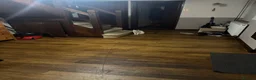 Mixed Breed cats for adoption: Time is nearly up for bonded pair rescue cats2yrs  - Advert 5
