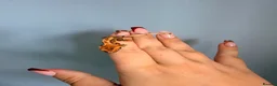 Gecko reptiles for sale: Baby crested gecko’s  - Advert 12