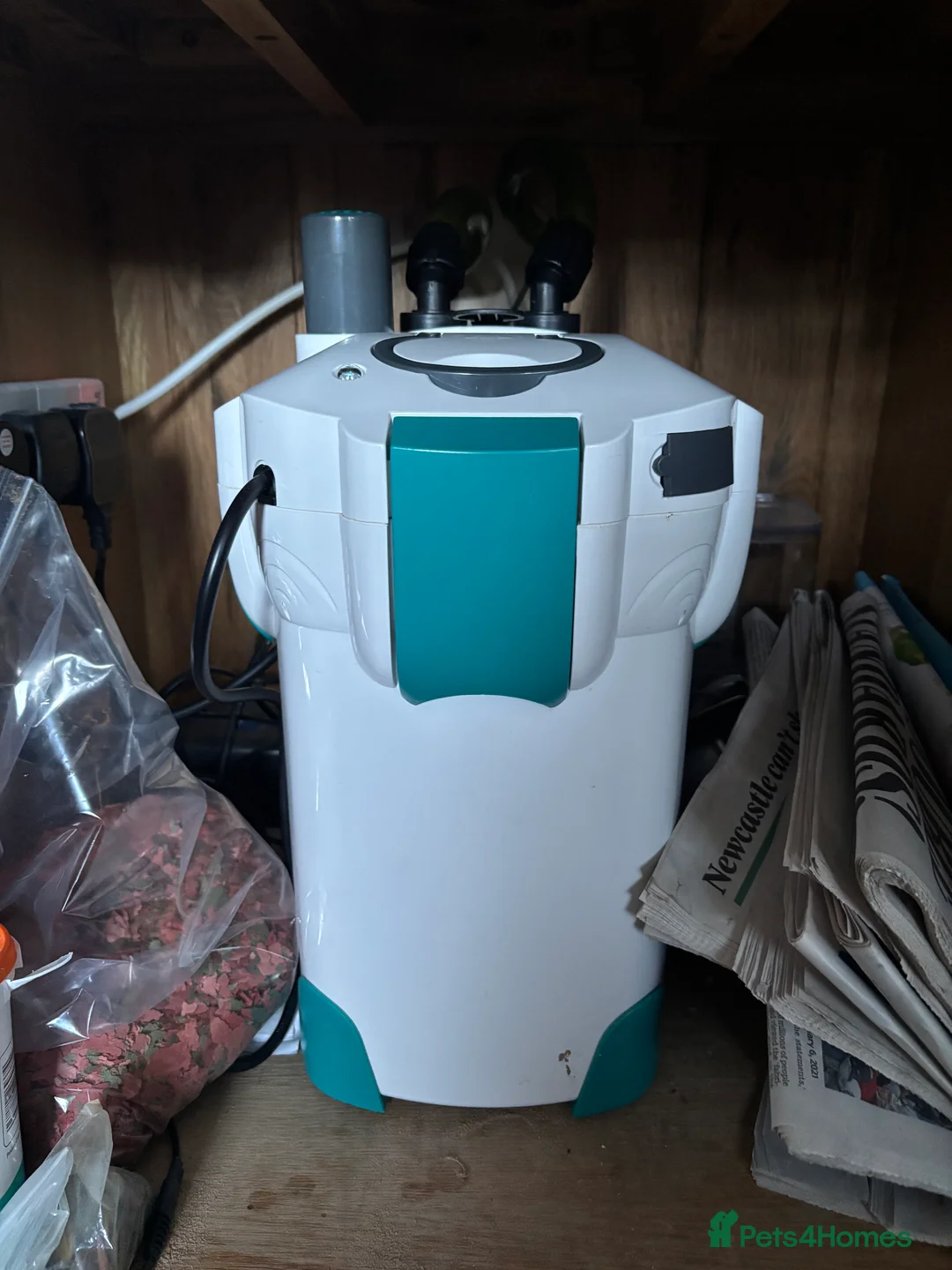 Cichlids fish for sale: Cichlids complete with tank and accessories  - Advert 5