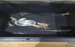 Bearded Dragon reptiles for sale: Baby bearded dragons - Image 19