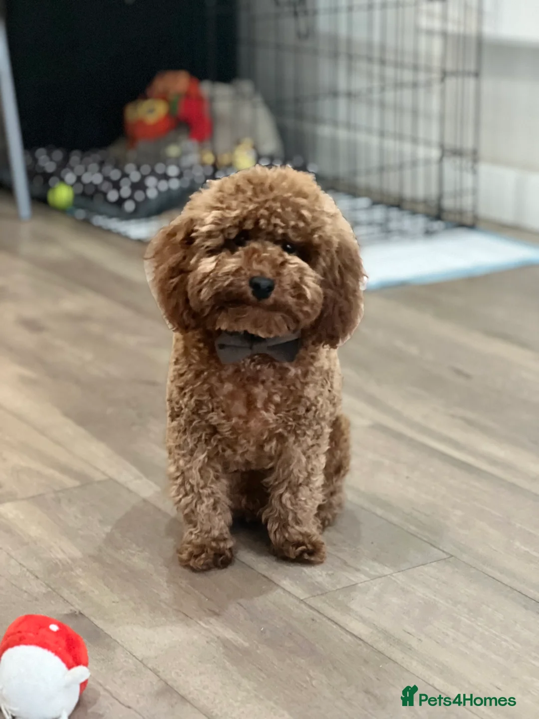 Gallery Image {{count}}