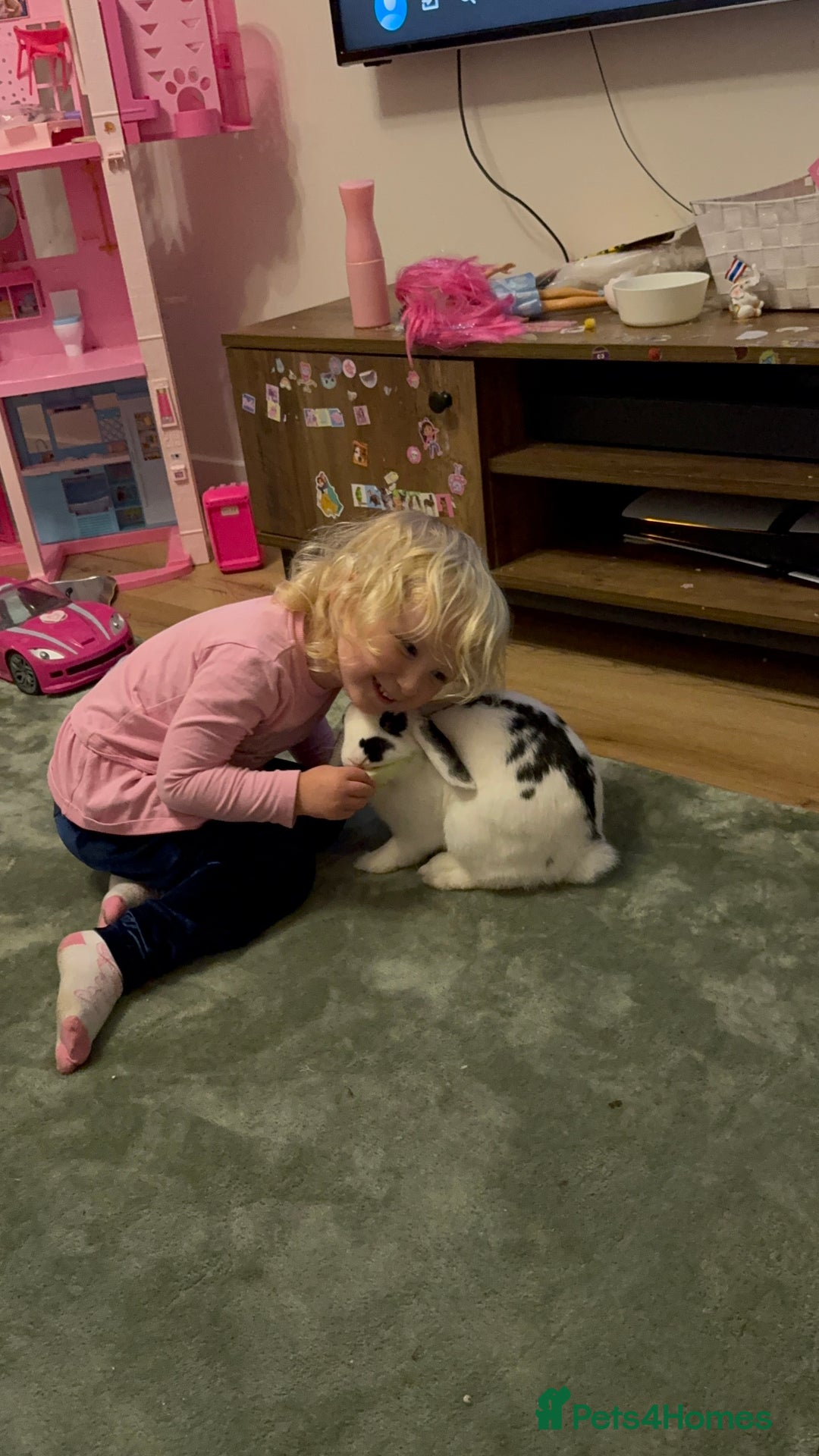 Mixed Breed rabbits for sale: Beautiful female rabbit  - Image 1
