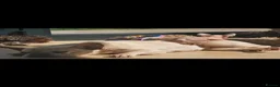 Sphynx cats for sale: Last little sphynx girl - Advert 3