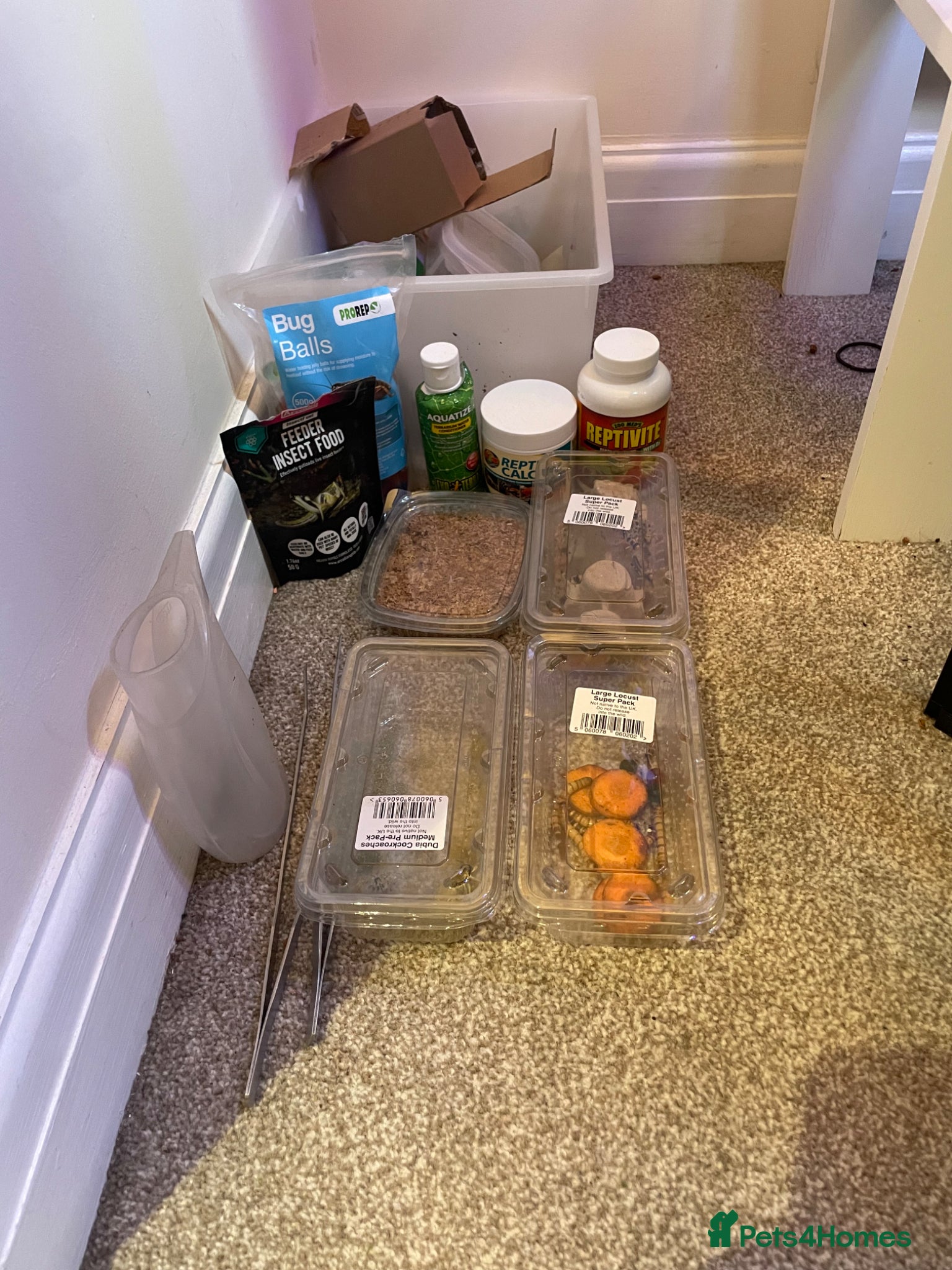 Chameleon reptiles for sale: Zoo Med. Reptibreeze Chameleon Enclosure (NO CHAM) - Advert 7