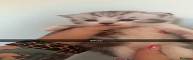 Persian 3
