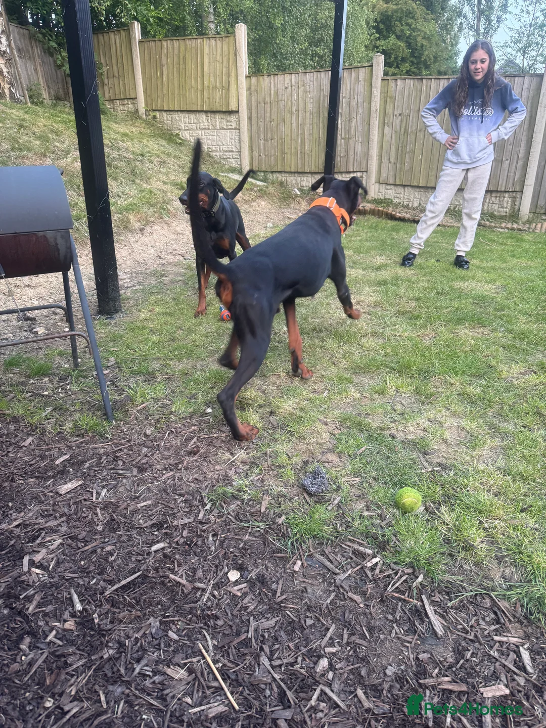 Gallery Image {{count}}