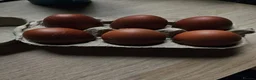 Chickens poultry for sale: Black Cooper Marsbar F1 carrying Ameraucana - Advert 3