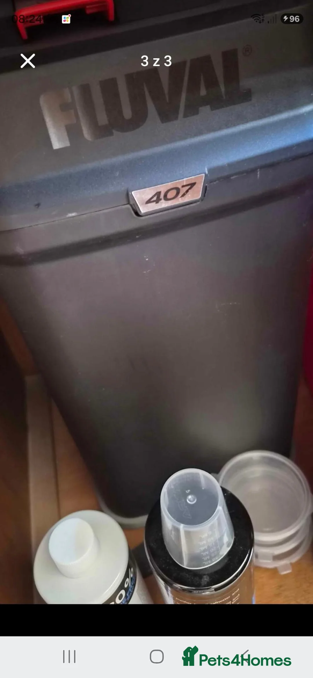 Other/Mixed Breed fish for sale: Fish tank - Advert 3