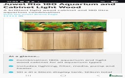 Angelfish fish for sale: Juwel Rio 180l - Image 1