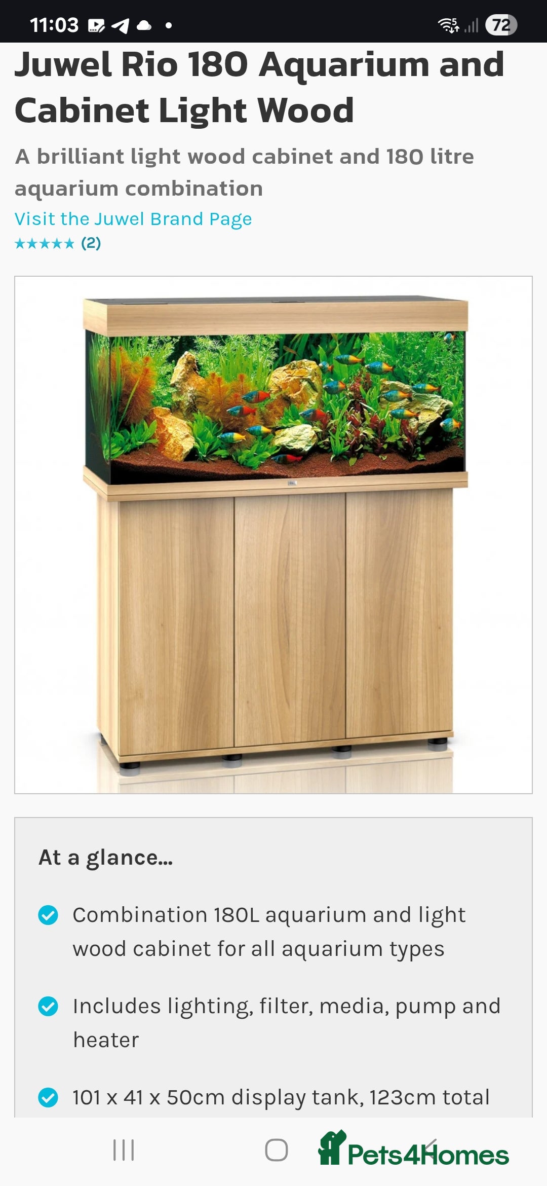 Angelfish fish for sale: Juwel Rio 180l - Image 1