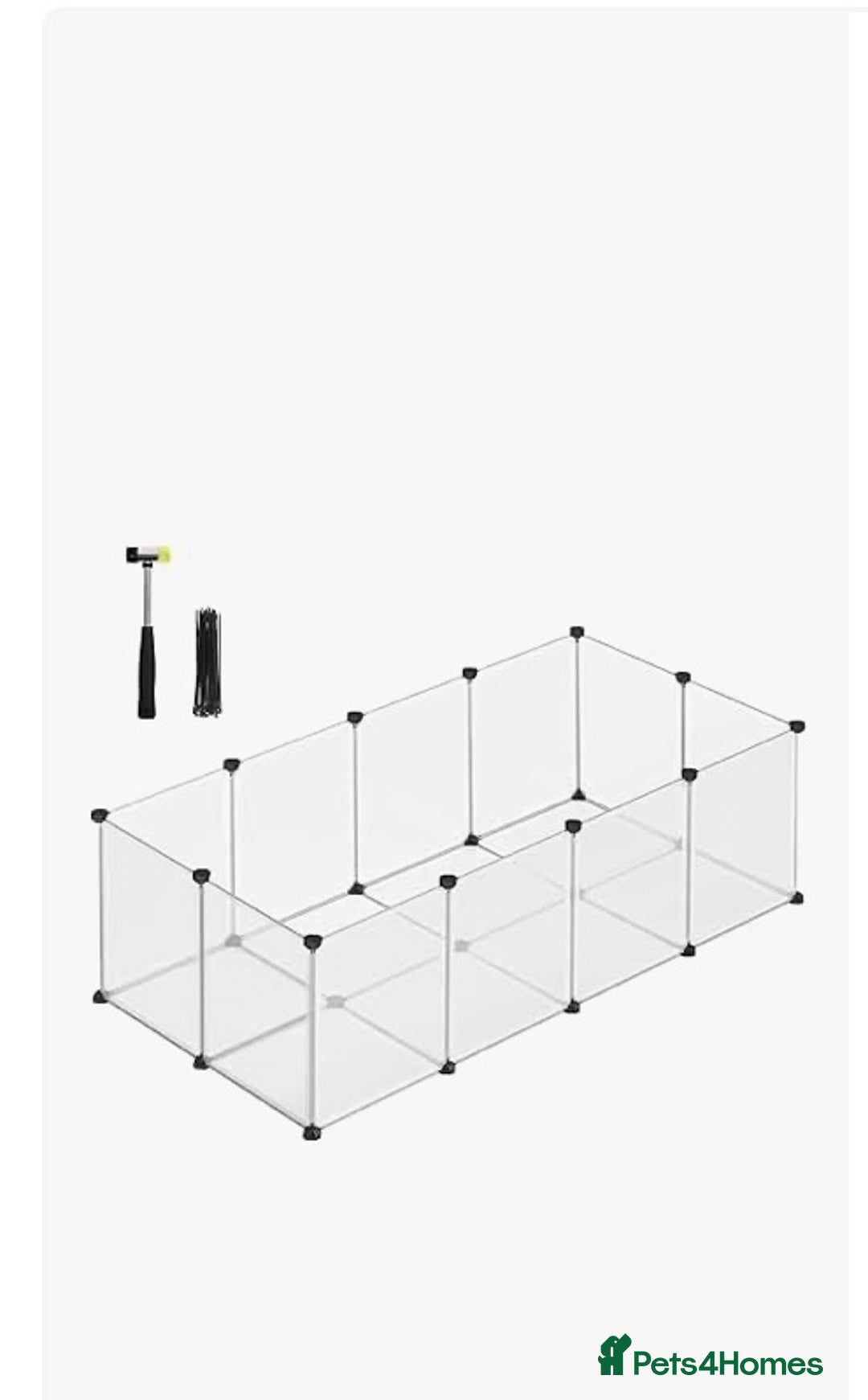 Lionhead rabbits for sale: friendly lionhead rabbits (includes everything)  - Advert 9