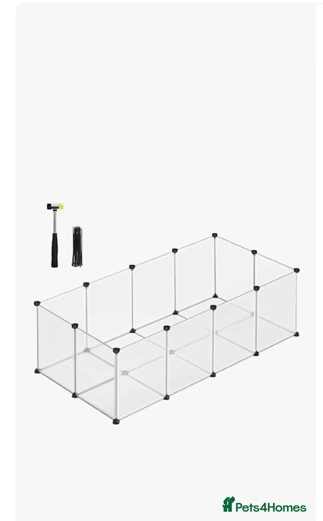 Lionhead rabbits for sale: friendly lionhead rabbits (includes everything)  - Advert 9