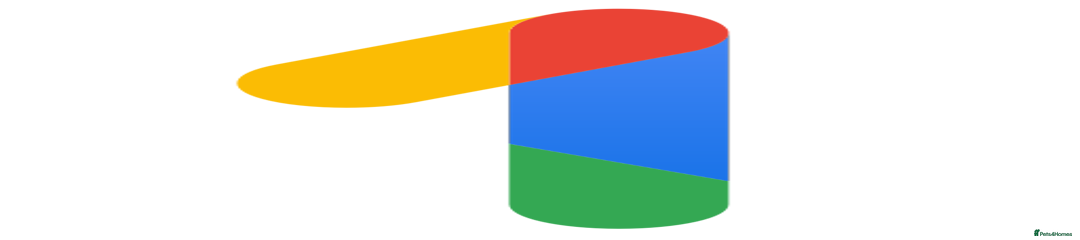 AAAA12