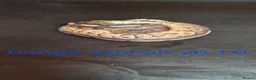 Python Snake reptiles for sale: Mixed juvinile royals - Advert 22