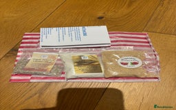 Snails invertebrates for sale: SILVER LEUCISTIC OVUMS TANK STARTER KIT IREDALEI  - Image 16