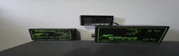 Bearded Dragon reptiles for sale: Bearded Dragon in Corby - Advert 9