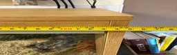Corn Snake reptiles for sale: Susie beautiful albino corn snake in Worcester - Advert 6