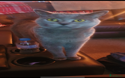 British Shorthair cats for sale: British shorthair  - Image 2