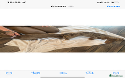 Miniature Dachshund dogs for sale: Kc miniature daschunds - Image 4