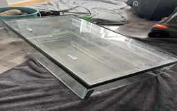 Turtle reptiles for sale: Reptile/turtle tank/terrapin/vampire crab tank - Image 10