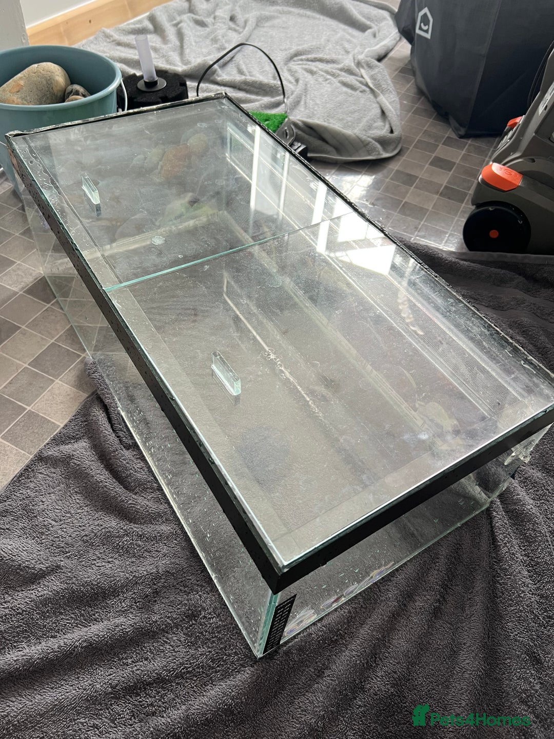 Turtle reptiles for sale: Reptile/turtle tank/terrapin/vampire crab tank - Image 10