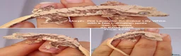 Gecko reptiles for sale: Various Crested Geckos, mixed morphs for sale  - Advert 7