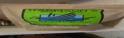 Ringnecks birds for sale: Pale Blue Indian Ringneck in Droitwich - Advert 8