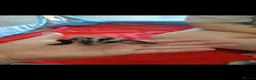 Sugar Glider rodents for sale: Rare mocistuc morph with lineage  - Advert 31