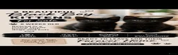 British Shorthair cats for sale: BRITTISH SHORT HAIR X - Advert 1