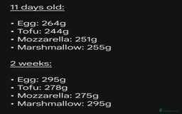 Mixed Breed cats for sale: White long haired kittens for sale in Fleetwood - Image 27