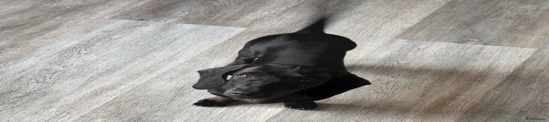 Female 