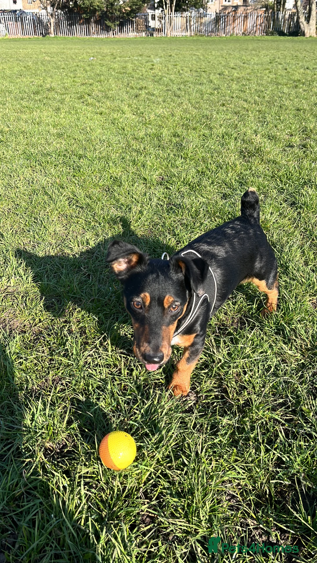 Gallery Image {{count}}