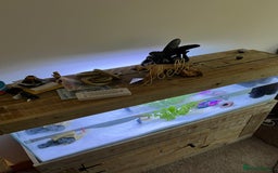 Axolotl reptiles for sale: Aquarium set up and pump  - Image 6
