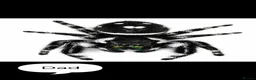 Spiders invertebrates for sale: Apalachicola jumping spiderlings  - Advert 7