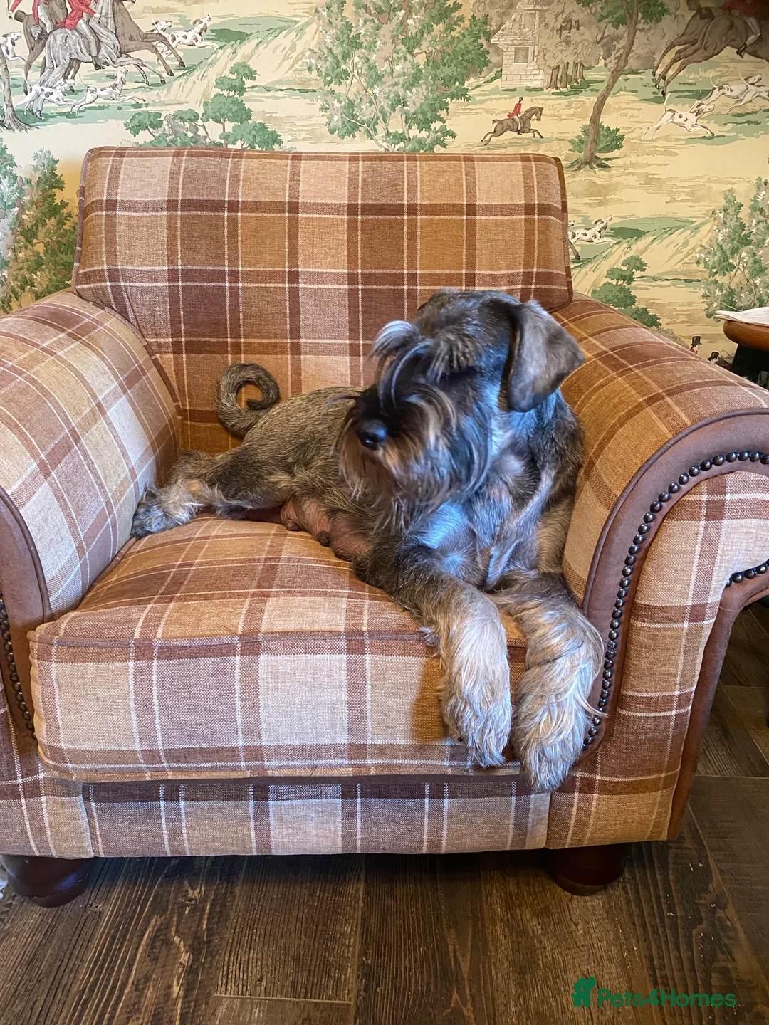 Gallery Image {{count}}