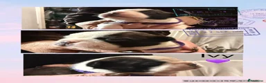 Boston Terrier 3
