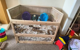 Hamster rodents for sale: Hamster and XL PawHut enclouser - Image 3