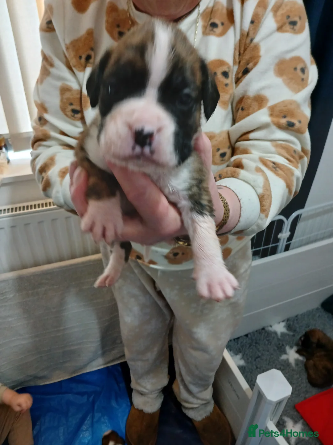 Gallery Image {{count}}