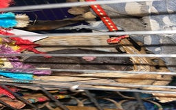 Rat rodents for sale: Male black and white rat  - Advert 2