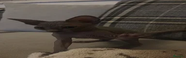 Sphynx 1