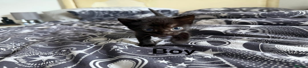 Void baby 