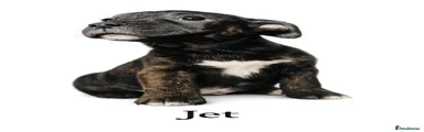 Jet