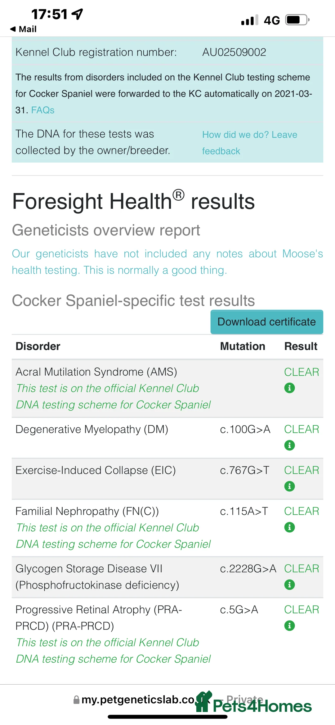 Cocker Spaniel dogs for stud: Proven Stud - Working Cocker Spaniel in Middlewich - Advert 13