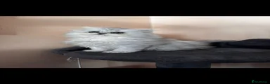 Persian 4