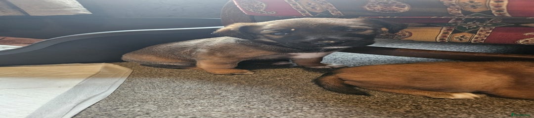 Female 2