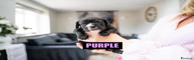 Purple Girl