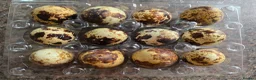 Quail poultry for sale: Japanese/ jumbo Quail  - Advert 6